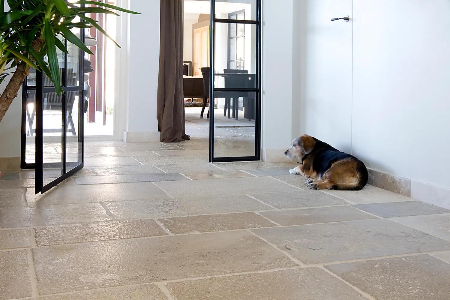 Wohnbereich mit heller Fliese und Hund auf dem Boden vor Glastür