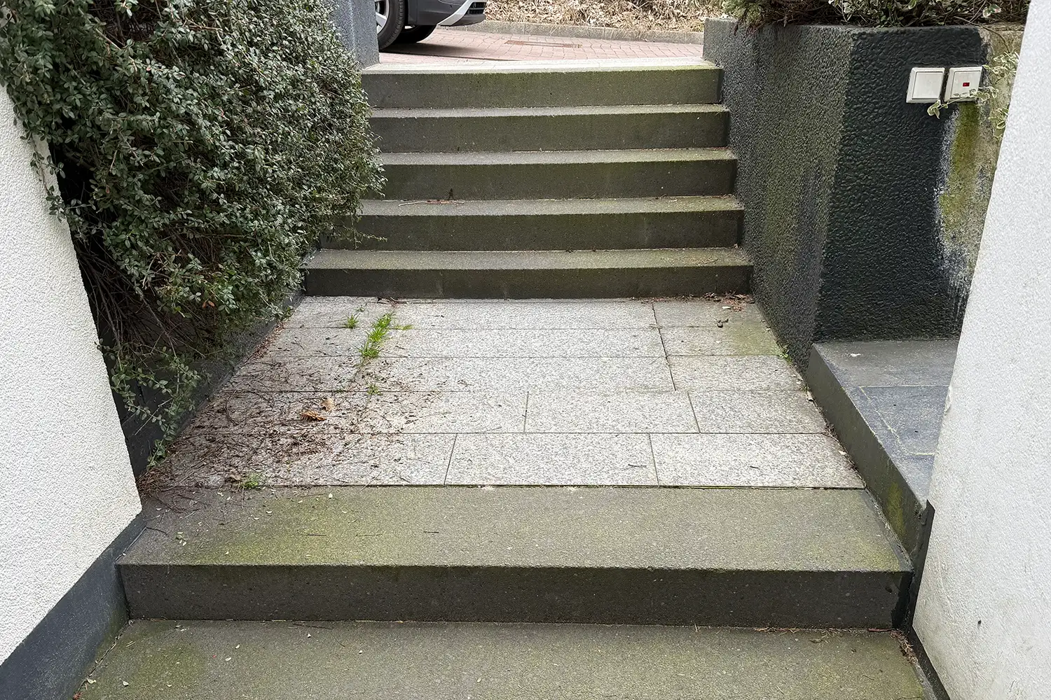 Vorher-Foto verwitterte Außentreppe mit grünem Moosbelag auf Betonstufen, Unkraut in Fugen und gemischten alten Bodenplatten am Hauseingang