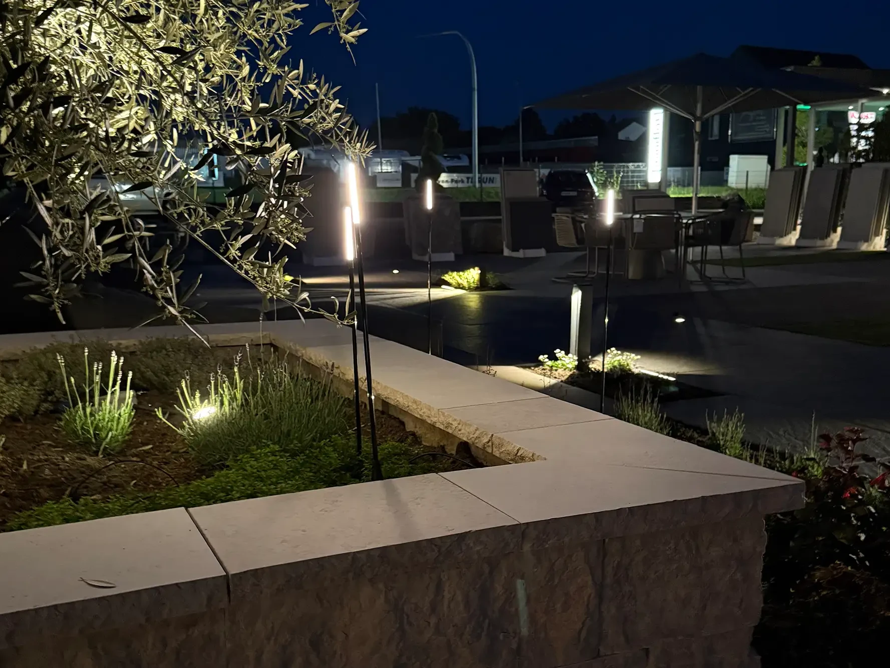 Gartenausstellung von avdo design mit Natursteinmauer, Gartenbeleuchtung, bepflanztem Beet, Olivenbaum und Terrassenplatten bei Nacht