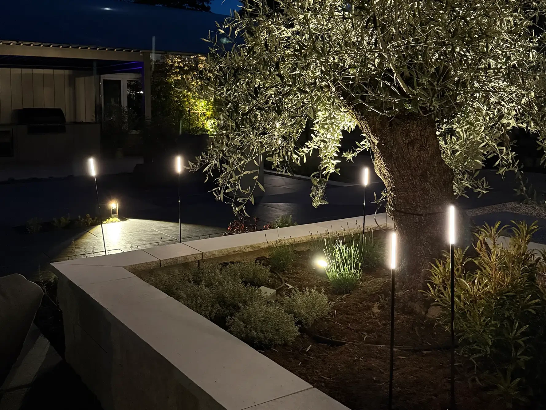 Gartenausstellung von avdo design mit beleuchtetem Olivenbaum, Natursteinmauer, Gartenbeleuchtung, bepflanztem Beet und Terrassenplatten bei Nacht